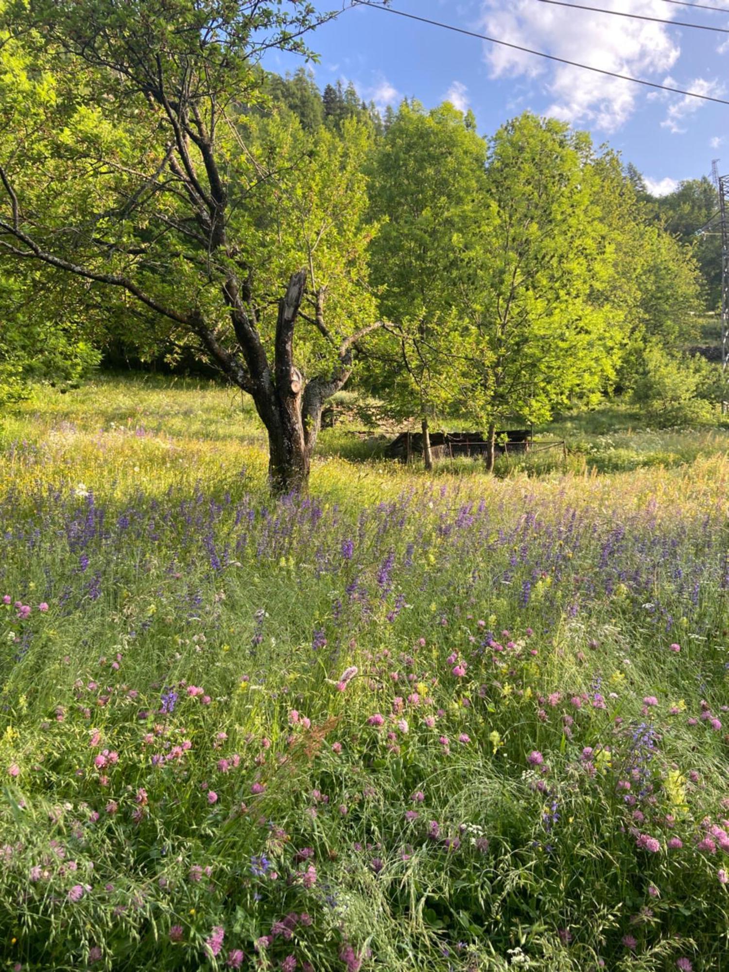 La Meizun De Charles Salza di Pinerolo ภายนอก รูปภาพ